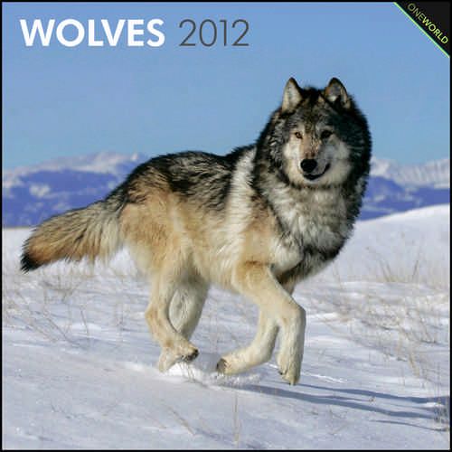 Wolves 2012 Wall Calendar 9781421675701  